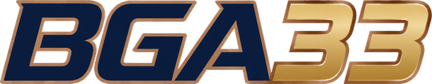 bga33